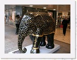 Olifanten parade Heerlen 025 * 2048 x 1536 * (1.07MB)